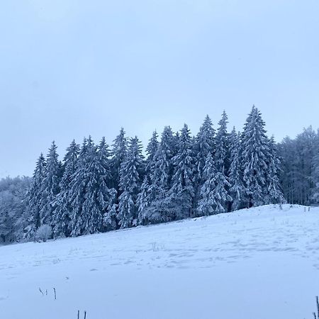 Le Chalet Du Hohwald Kültér fotó