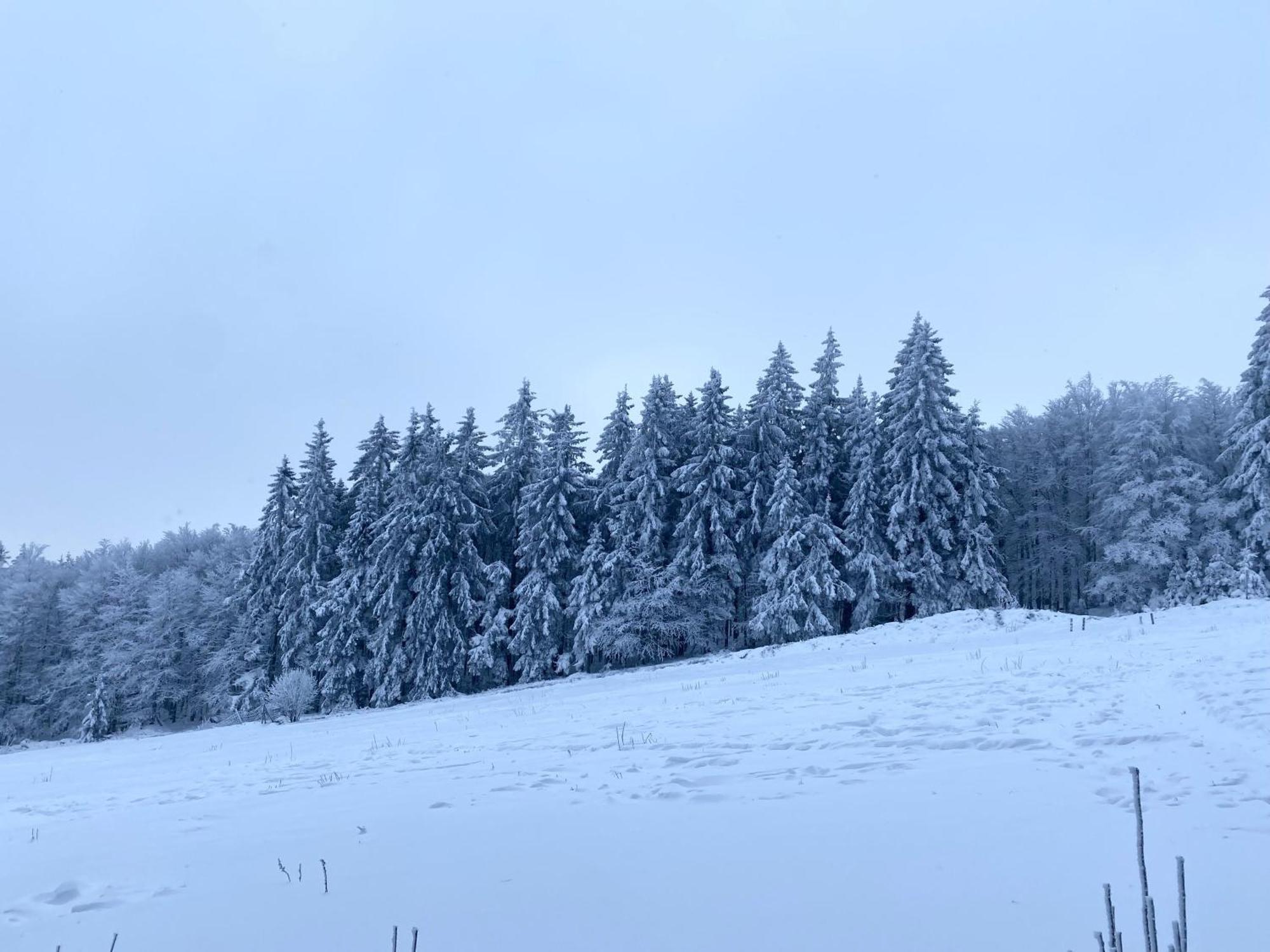 Le Chalet Du Hohwald Kültér fotó